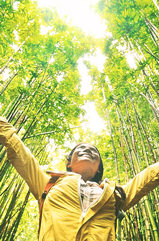 Pilgrim Dry Cleaners Environmentally Friendly