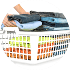 Wash, Dry, Fold <br>Laundry Service