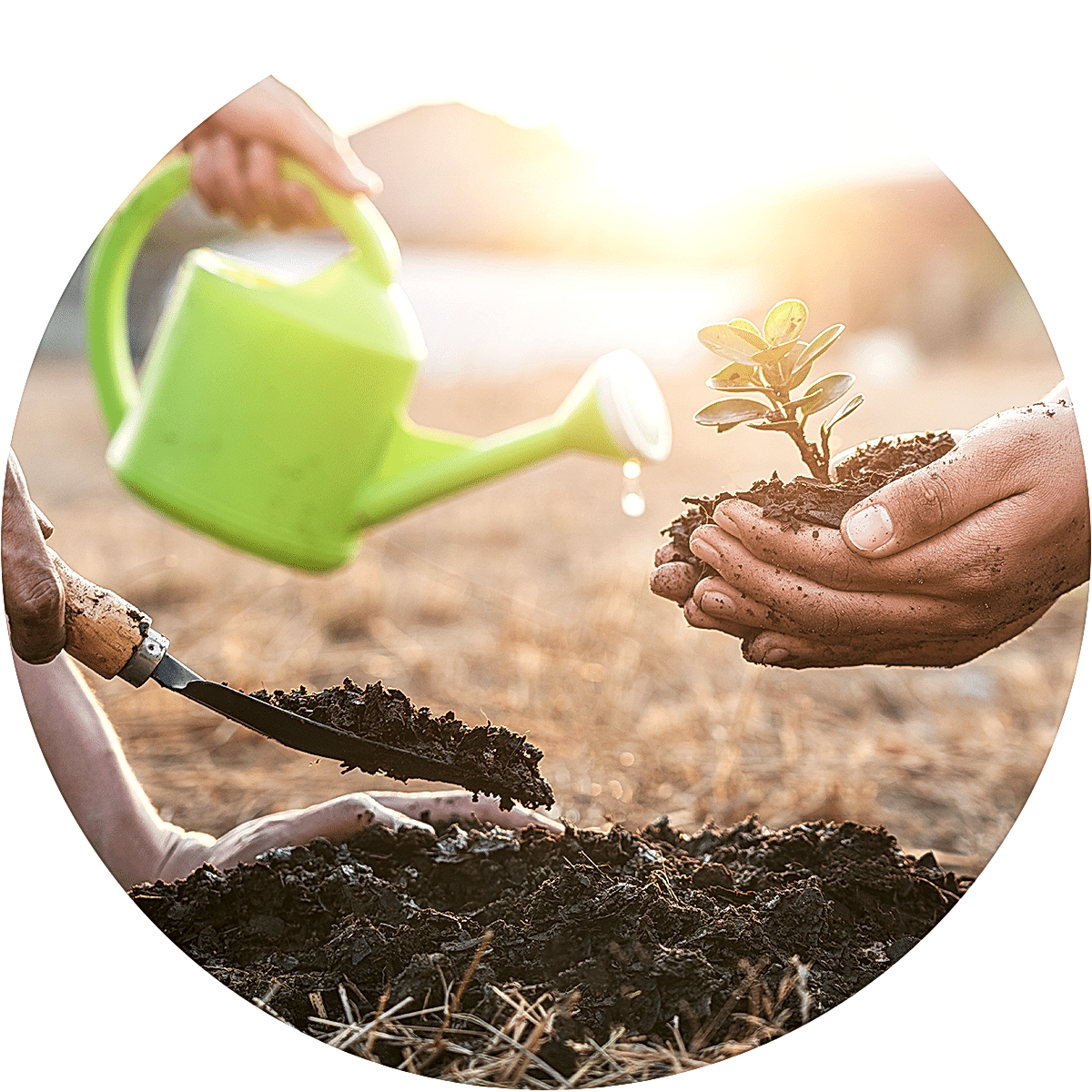 Green Cleaning<br> Agents